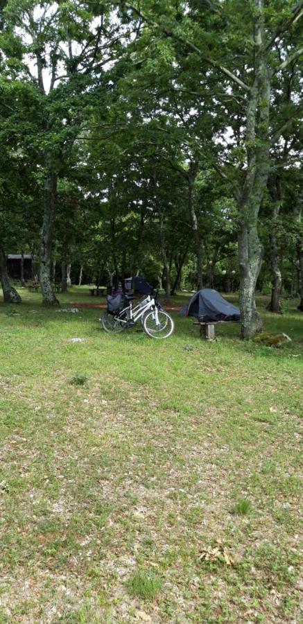 Hotel Bikers Camp Poreč Exterior foto